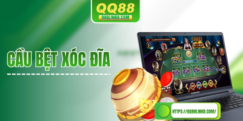 Cầu bệt xóc đĩa